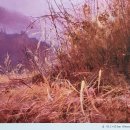 서양화(유화/아크릴) 이미지