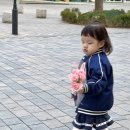 동화슈퍼 | [내돈내산] 망고라이언 사랑해요 전집 후기｜29개월 생활동화, 책 읽고 꽃 선물까지