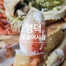 동광의계절 | 영덕 강구항 동광어시장 러시아 박달대게 흡입 후기