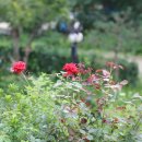 양주해찬솔 이미지