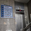 강남 압구정속눈썹 엔키뷰티 유지력 좋은 C컬 속눈썹 연장 후기