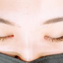 더시크라인 이미지