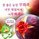 참좋은농장 이미지