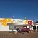 테마건강랜드 | 제주도 19개월 아기랑 가볼만한곳, 에코랜드 테마파크 방문 후기