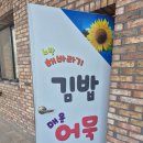 2025 성안올레 걷기 축제 | 2025년 제주 올레 걷기 축제 참가 후기! 꼬닥 꼬닥!