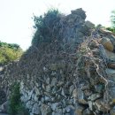 무궁화로 이미지