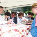 자매특산
