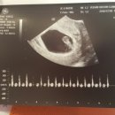 하울농장 이미지