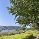 고산지 | 아침 산책 후 혼카페 스타벅스 하루한컵레드 사과 방토 고산지 프리미엄 바나나 먹으며 백수 일상 일기