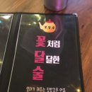 꽃달술