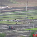 판문농장 이미지