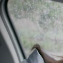 금곡한의원 이미지