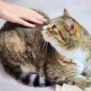 빛소금온누리약국 이미지