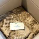 엔트몰 | 엔트레빈 홈카페 원두 추천 | 당일 로스팅 원두로 즐기는 스페셜티 커피