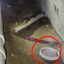 한일하나로아파트 이미지