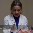 서린메디칼 이미지