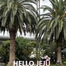 임항로-R | 10월 여자 혼자 제주도 동쪽 뚜벅이 여행 3박 4일 코스 추천 (1) 1-2일차