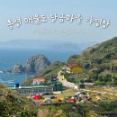 거장산 야영장 매점 | 통영 대매물도 당금마을 야영장 백패킹 장군봉 트레킹