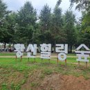 황산공원 1구장주차장 8번 | 양산 황토 맨발걷기, 황산공원에서 엄마랑 보낸 힐링시간
