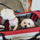 아지동물병원 이미지