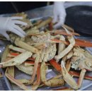 장사해수욕장관광지 이미지