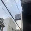 [성수카페] 아늑한 분위기의 디저트 맛집 ‘비도커피’ 내돈내산 후기