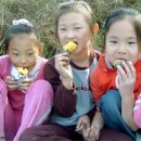 서해안농장 이미지