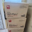 늘바른