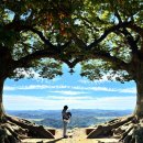 성흥슈퍼 | [9월♥ 부여_4개월 아기랑 2박3일] 부여 사랑나무, 아기랑 가볼만한 곳 추천(아기랑 갈 수 있을까...