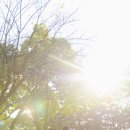 수정 | 대전 돌스냅촬영 및 수정후기(수정본으로 첨부)