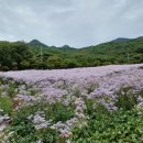 가은농장 이미지