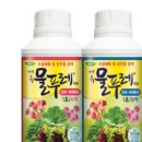 대유농장 이미지