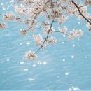 제이케이정보 이미지