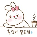 슬기로운마트생활 - 수성구 청솔로 136 | 슬기로운마트생활