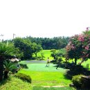 창녕파3 골프랜드 이미지