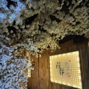 청춘사업 | 경북대 북문 술집 '청춘사업' 후기!!