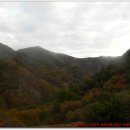 12구간 지기재 윤지미산 봉황산 형제봉 피앗재 이미지