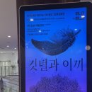 이석영뉴미디어도서관 2층 이미지