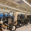 황금휘트니스 이미지