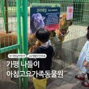 어항단지 입구화장실 | 가평 아기랑갈만한곳 아침고요가족동물원 24개월미만 무료