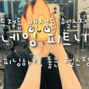 도르라핏 네이버블로그