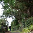 신풍리-3 이미지