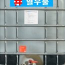 크로벌주식회사 이미지