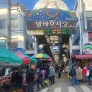 말바우약국 이미지