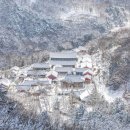 서정적인 이미지