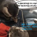 포트폴리오 공개합니다. 참고만 하세요. (내용추가) 이미지