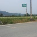 우산리보건소 Daum카페