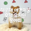 애기 강아지 반려견전문샵 | 해운대 애견미용 강아지호텔 유치원 위생미용 몽아띠