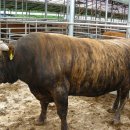 풍전농장 이미지