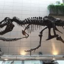 한국지질자원연구원 지질박물관 이미지